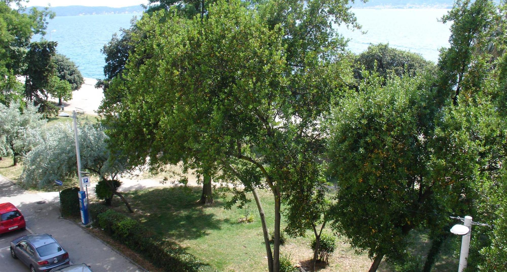 Apartment Jelena *